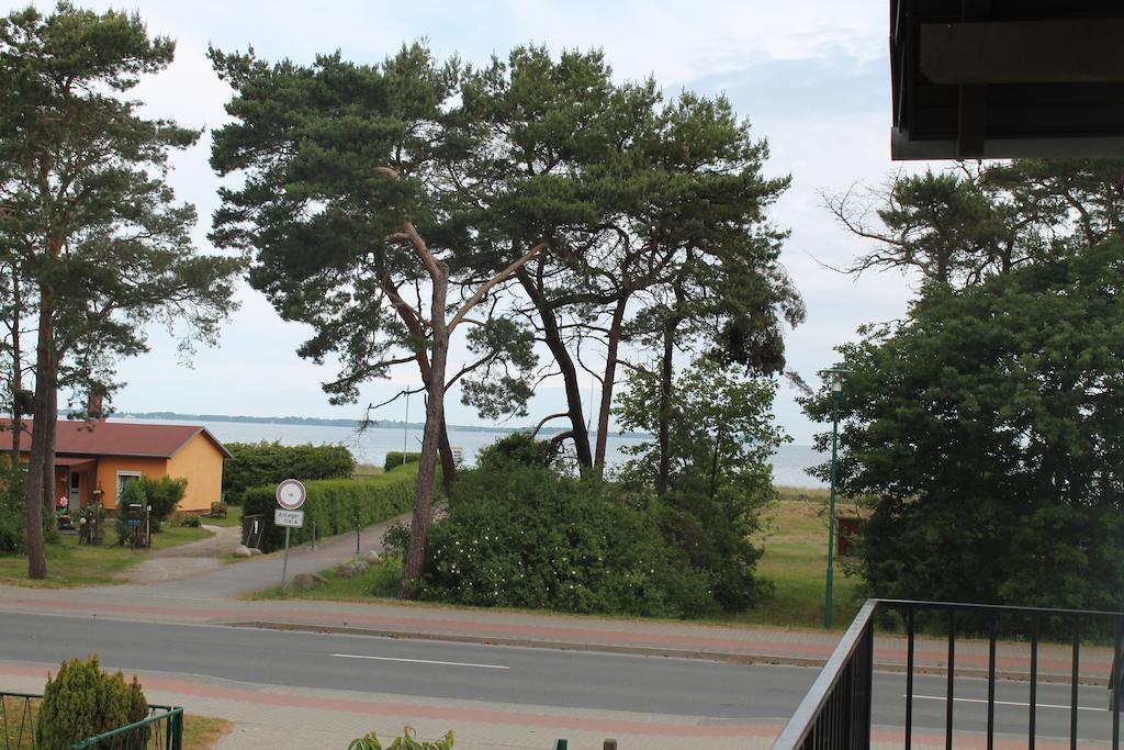 Appartementhaus Zur Schaabe Glowe Buitenkant foto